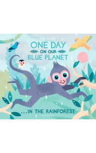 One Day on Our Blue Planet… In the Rainforest