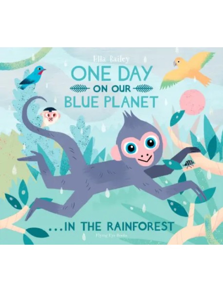 One Day on Our Blue Planet… In the Rainforest