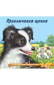 Приключения щенка