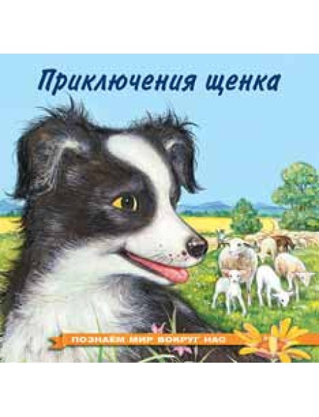 Приключения щенка