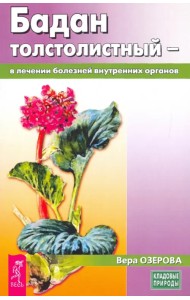 Бадан толстолистный - в лечении болезней внутренних органов