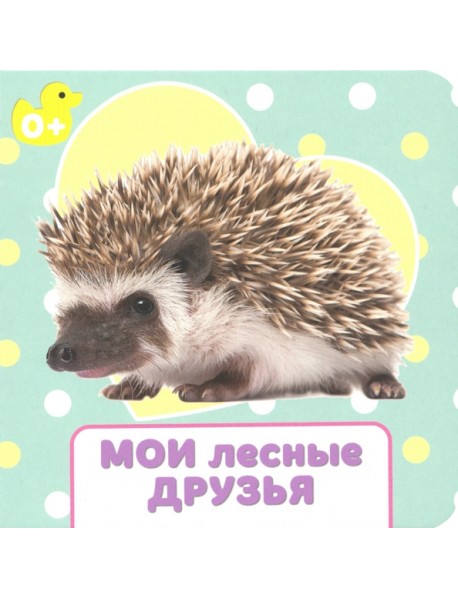 Мои лесные друзья