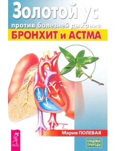 Золотой ус против болезней дыхания. Бронхит и астма
