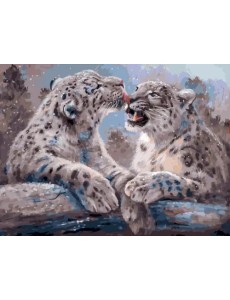 Живопись на холсте. Ирбисы, 30x40 см Живопись на холсте. Ирбисы, 30x40 см