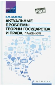 Актуальные проблемы теории государства и права. Практикум