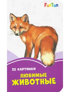 Любимые животные