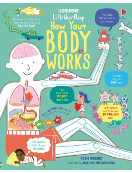 How Your Body Works