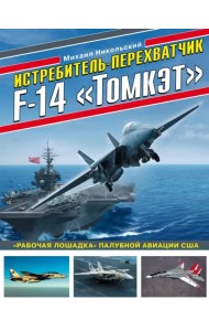 Истребитель-перехватчик F-14 