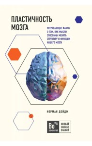 Пластичность мозга. Потрясающие факты о том, как мысли способны менять структуру и функции