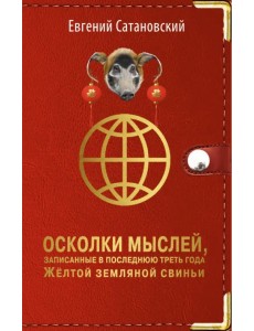 Осколки мыслей, записанные в последнюю треть года Желтой Земляной Свиньи