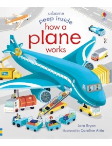 How a Plane Works