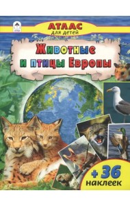 Животные и птицы Европы