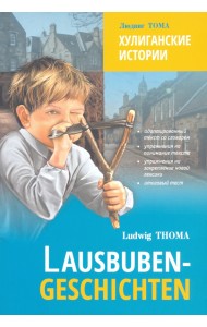 Хулиганские истории