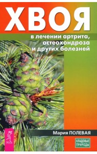 Хвоя в лечении артрита, остеохондроза и других болезней