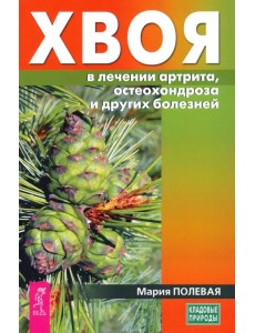 Хвоя в лечении артрита, остеохондроза и других болезней