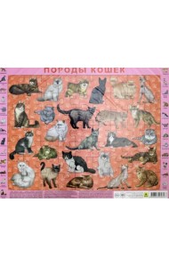Детский пазл на подложке. Породы кошек, 63 элемента