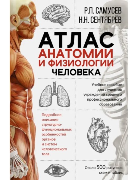 Атлас анатомии и физиологии человека. Учебное пособие для студентов учреждений СПО