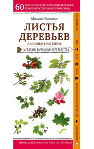 Листья деревьев. Как узнать растение. Наглядный карманный справочник