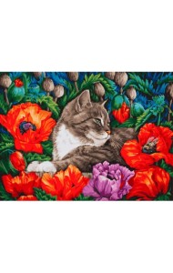 Живопись на картоне. Кот в маках, 30x40 см