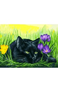Живопись на картоне. Кот и крокусы, 30x40 см