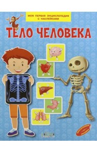 Тело человека