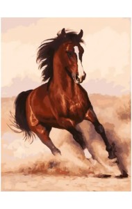 Живопись по номерам на картоне. Галоп, 30x40 см