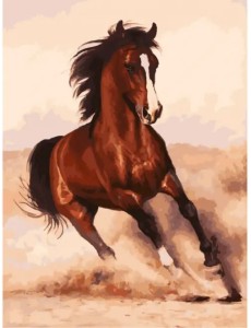 Живопись по номерам на картоне. Галоп, 30x40 см Живопись по номерам на картоне. Галоп, 30x40 см