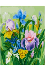 Живопись по номерам на картоне 