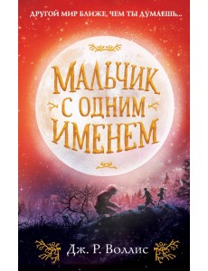 Мальчик с одним именем Мальчик с одним именем
