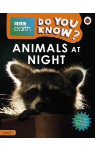 Animals at Night. Level 2