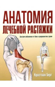 Анатомия лечебной растяжки. Быстрое избавление от боли и профилактика травм