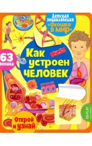 Окошко в мир. Как устроен человек