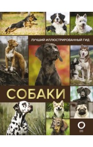 Собаки. Лучший иллюстрированный гид