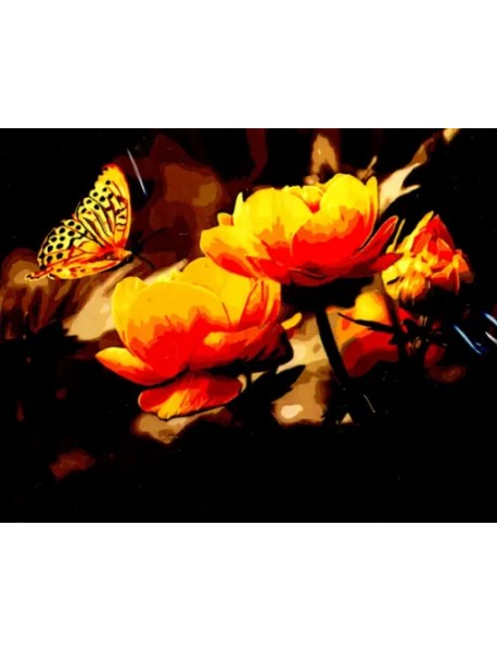 Набор для рисования по номерам. на холсте. Бабочки и жарки, 40x50 см