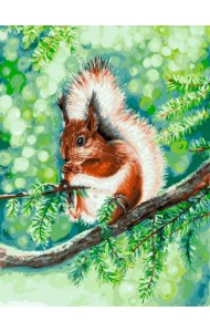 Картина по номерам. Белочка, 30x40 см