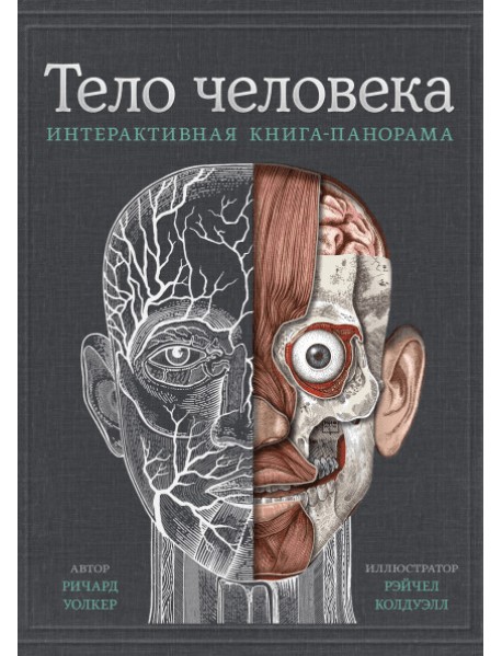 Тело человека. Интерактивная книга-панорама