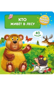 Что? Почему? Зачем? Кто живёт в лесу (40 окошек)