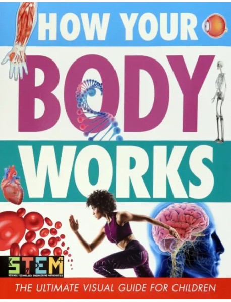 How Your Body Works. The Ultimate Visual Guide for Children