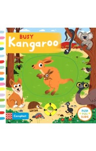 Busy Kangaroo