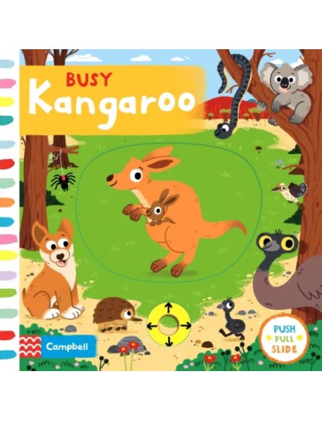 Busy Kangaroo