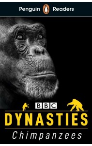 Dynasties. Chimpanzees