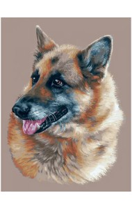 Живопись на холсте. Эльзасская овчарка, 30х40 см