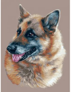 Живопись на холсте. Эльзасская овчарка, 30х40 см Живопись на холсте. Эльзасская овчарка, 30х40 см