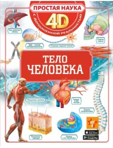 Тело человека Тело человека