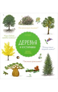 Деревья и кустарники