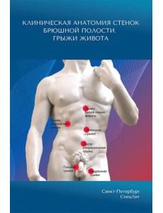 Клиническая анатомия стенок брюшной полости. Грыжи живота