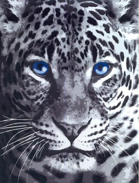 Картина по номерам "Голубоглазый леопард", 40x50 см
