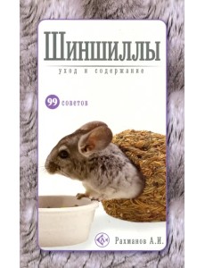 Шиншиллы. Уход и содержание