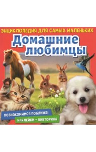 Познакомимся поближе! Домашние любимцы