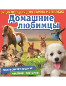 Познакомимся поближе! Домашние любимцы Познакомимся поближе! Домашние любимцы